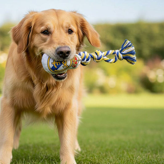 Hundespielzeug Real Madrid C.F. – Weiß